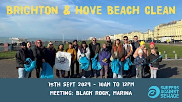 Brighton and Hove beach clean primary image