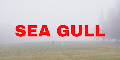 Imagem principal do evento Sea Gull Previews