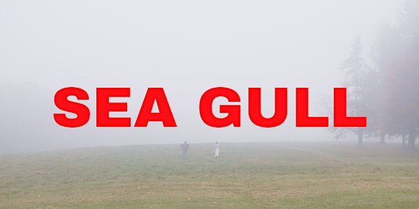 Sea Gull Previews