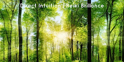 Imagen principal de Reiki Energy Healing Demo