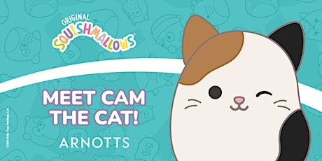 Meet Cam The Cat in Arnotts