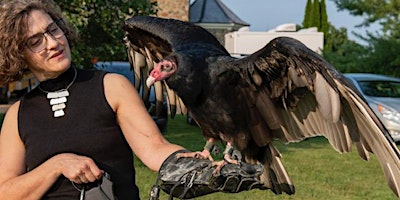 Under Appreciated: Vultures primary image