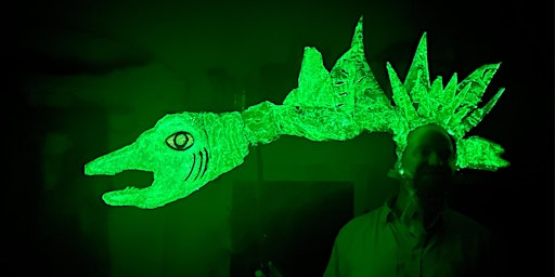 Immagine principale di Aqualumina Workshop: Illuminated Aquatic Wearables 