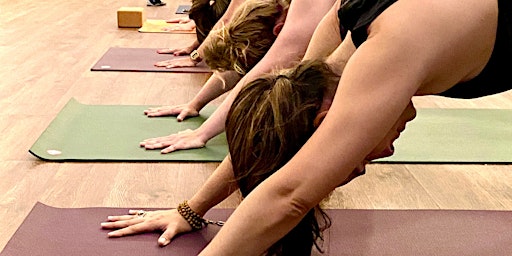 Imagem principal do evento FREE Gentle Yoga - Flow For The Paws