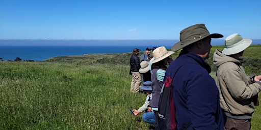 Hauptbild für Cotoni Coast Dairies