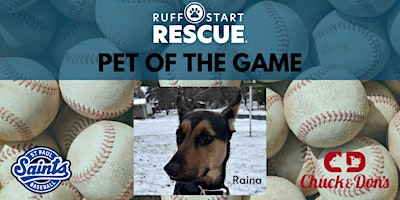 "Pet of the Game" at the St. Paul Saints primary image