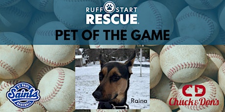 "Pet of the Game" at the St. Paul Saints primary image