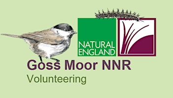 Primaire afbeelding van Goss Moor Volunteer Task Day - Invasive Species Pulling