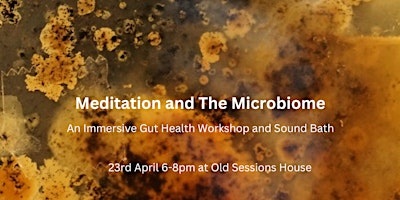 Hauptbild für Meditation & The Microbiome: An Immersive Gut Health Workshop & Sound Bath
