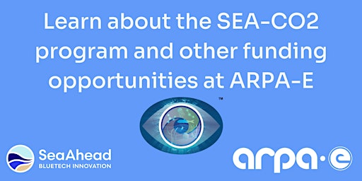 Imagen principal de SEA-CO2: ARPA-E program on ocean sensing for marine carbon dioxide removal