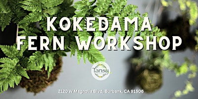 Kokedama Fern Workshop at Tansy primary image