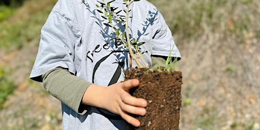 Primaire afbeelding van We4all Environmental Day