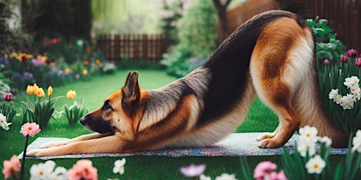Image principale de Puppy Yoga