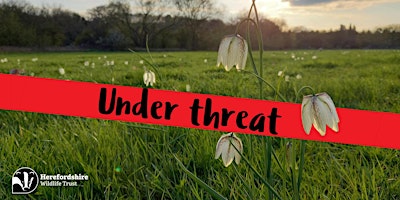 Imagen principal de Public Meeting: threat to Lugg Meadows Nature Reserve SSSI