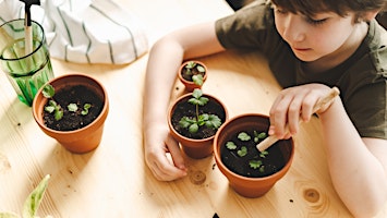 Imagem principal do evento Kids Gardening Adventures: How to Propagate Edible Plants & Trees