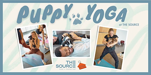 Imagem principal do evento Puppy Yoga at The Source