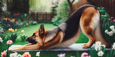 Puppy Yoga