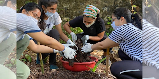 Imagem principal de Many Seeds, One Garden : Growing Together