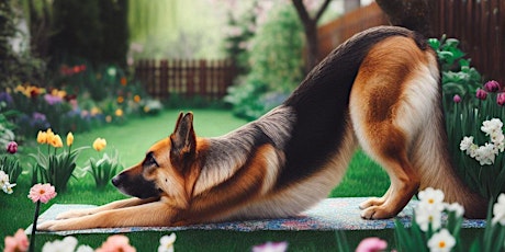 Puppy Yoga