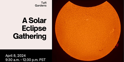 Imagen principal de A Solar Eclipse Gathering