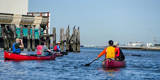 Immagine principale di Birding By Canoe with the Gowanus Dredgers and Local Nature Lab 