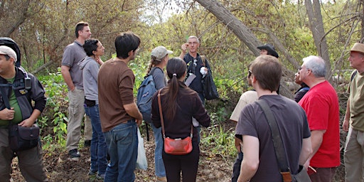 Imagem principal do evento Eco-Friendly Foraging - Plants Walk / Wild Food Tasting & Drinks