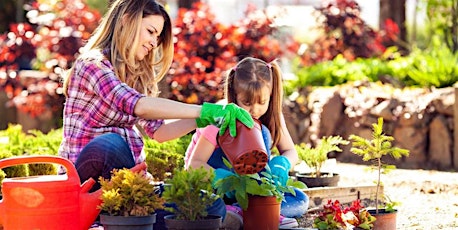 Exploring the beauty of nature - gardening knowledge and skills training