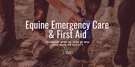 Equine Emergency Care & First Aid