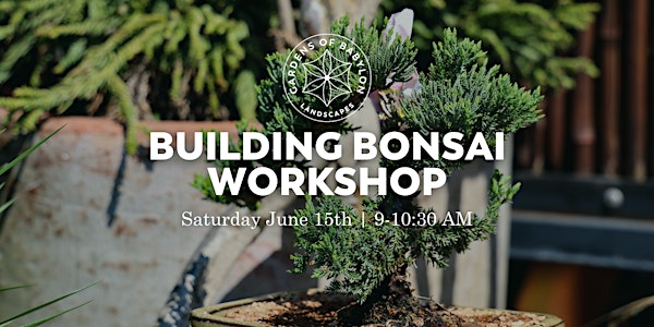 Building Bonsai Workshop