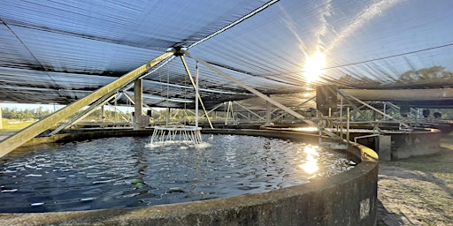 Immagine principale di Meet Florida Fish Farmers 