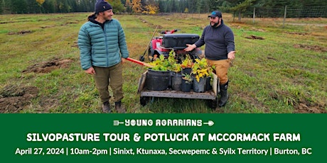 Silvopasture Tour at McCormack Farm