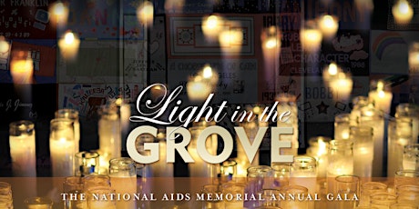 Light in the Grove 2019 primary image