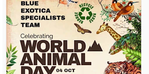 Primaire afbeelding van Miami Vendors Supporting World Animal Day