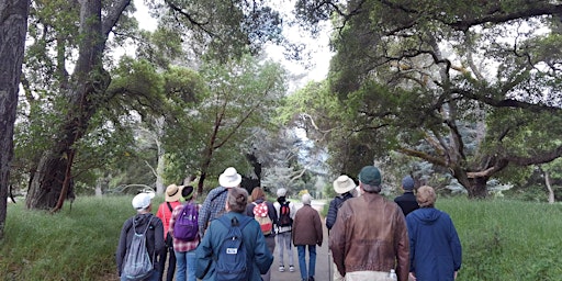 Imagem principal do evento Filoli Historic House  and Garden