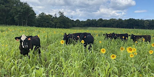 Grazing Field Day With Cover Crops primary image