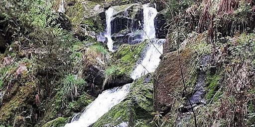 So,26.05.24 Wanderdate Singlewandern Gertelbachwasserfälle Bühl für 40-65J  primärbild