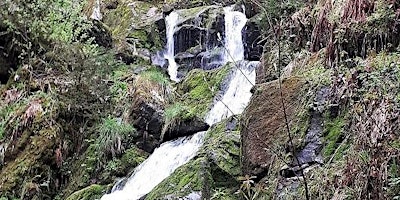 Hauptbild für So,26.05.24 Wanderdate Singlewandern Gertelbachwasserfälle Bühl für 40-65J