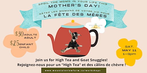 Primaire afbeelding van Mothers Day Tea and Goat Snuggle