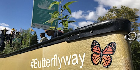 Grow Indigenous Friendship Patches In Your Butterflyway