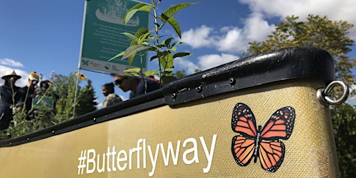 Imagem principal do evento Grow Indigenous Friendship Patches In Your Butterflyway