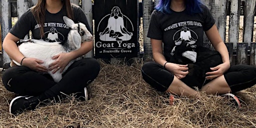 Imagem principal de Goat Yoga in Sarasota at Frutiville Grove