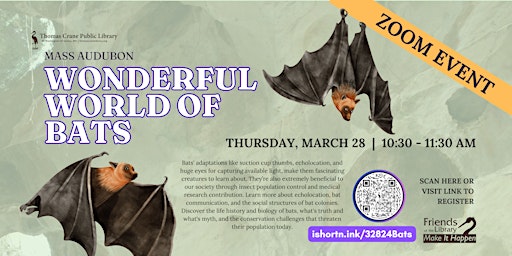 Imagen principal de The Wonderful World of Bats with the Mass Audubon (Online)