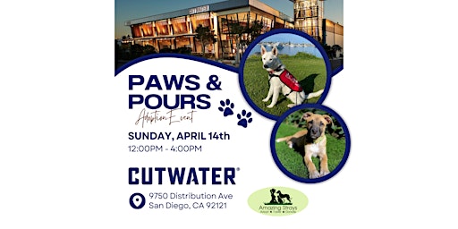 Paws & Purs at Cutwater primary image