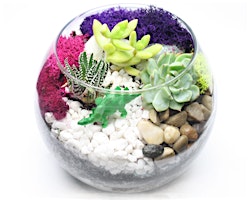 Hauptbild für Family Plant Party: Make a Succulent Terrarium