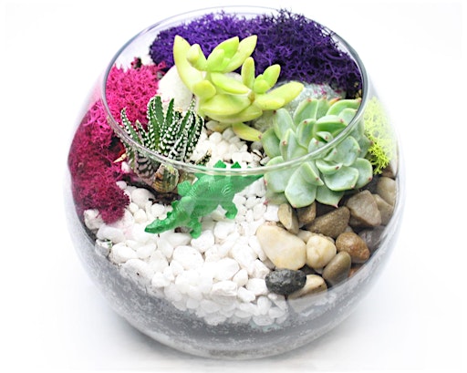 Family Plant Party: Make a Succulent Terrarium  primärbild