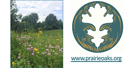 Prairie Oaks Reserve