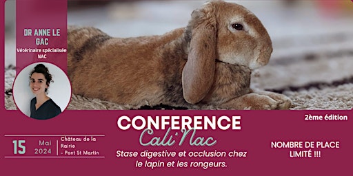 Imagen principal de CONFÉRENCE CALI'NAC - STASE DIGESTIVE ET OCCLUSION CHEZ LE LAPIN