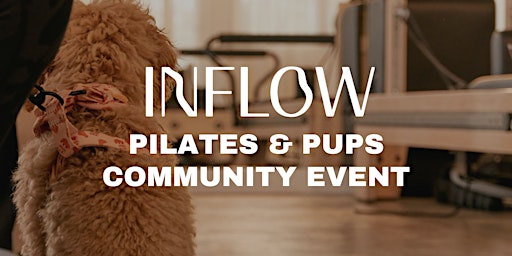 Primaire afbeelding van INFLOW PILATES & PUPS