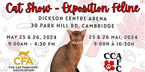 Imagem principal do evento Cambridge Cat Show!