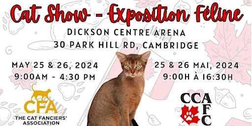 Image principale de Cambridge Cat Show!